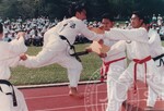 Seni Pertahanan Diri