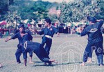 Seni Pertahanan Diri