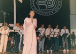 Budaya, Kesenian dan muzik
