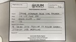 Seminar Kefahaman Dasar Luar Negara