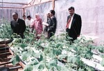 Mesyuarat dengan Prof. Dr. Mohammad Noor Hj Salleh
