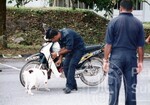 Kempen Hari Keselamatan Anjuran Kolej Proton
