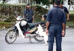 Kempen Hari Keselamatan Anjuran Kolej Proton