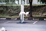 Kempen Hari Keselamatan Anjuran Kolej Proton