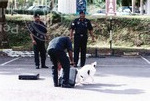 Kempen Hari Keselamatan Anjuran Kolej Proton