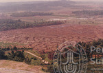 Pekan Changlun: Panorama Dari Udara