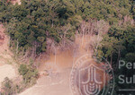 Pemandangan Dari Udara Kawasan Hutan Sintok