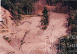 Pemandangan Dari Udara Kawasan Hutan Sintok