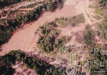 Pemandangan Dari Udara Kawasan Hutan Sintok