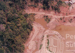 Pemandangan Dari Udara Kawasan Hutan Sintok