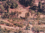 Pemandangan Dari Udara Kawasan Hutan Sintok
