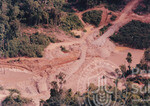 Pemandangan Dari Udara Kawasan Hutan Sintok