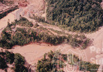 Pemandangan Dari Udara Kawasan Hutan Sintok