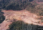 Pemandangan Dari Udara Kawasan Hutan Sintok