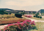 Panorama Indah Universiti Utara Malaysia Kampus Darul Aman