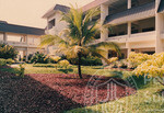 Panorama Indah Universiti Utara Malaysia Kampus Darul Aman