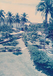 Panorama Indah Universiti Utara Malaysia Kampus Darul Aman