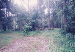 Kemudahan Asas Di Hutan Sintok