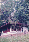 Kemudahan Asas Di Hutan Sintok