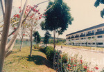 Landskap Universiti Utara Malaysia Kampus Darul Aman