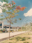 Landskap Universiti Utara Malaysia Kampus Darul Aman
