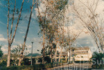 Landskap Universiti Utara Malaysia Kampus Darul Aman