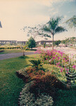 Warna Warni Flora Menyeri Kampus Darul Aman