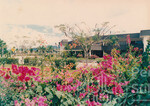 Warna Warni Flora Menyeri Kampus Darul Aman