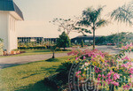 Warna Warni Flora Menyeri Kampus Darul Aman