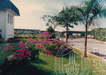 Warna Warni Flora Menyeri Kampus Darul Aman