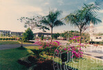 Warna Warni Flora Menyeri Kampus Darul Aman
