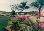 Warna Warni Flora Menyeri Kampus Darul Aman