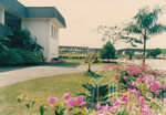 Warna Warni Flora Menyeri Kampus Darul Aman