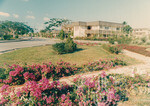 Warna Warni Flora Menyeri Kampus Darul Aman
