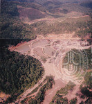 Pemandangan Hutan Sintok Dari Udara