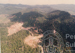 Pemandangan Hutan Sintok Dari Udara