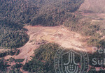 Pemandangan Hutan Sintok Dari Udara