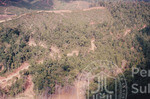 Pemandangan Hutan Sintok Dari Udara
