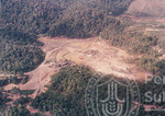 Pemandangan Hutan Sintok Dari Udara