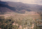 Pemandangan Hutan Sintok Dari Udara
