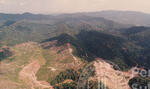 Pemandangan Hutan Sintok Dari Udara