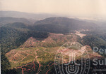 Pemandangan Hutan Sintok Dari Udara