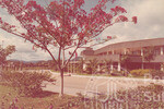 Keindahan Kampus Darul Aman