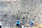 Program Penanaman Pokok di sekitar pintu masuk kampus UUM