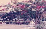 Pemandangan Kampus Darul Aman