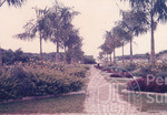 Suasana Kampus UUM Sintok