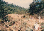Lawatan Naib Canselor UUM ke Hutan Sintok
