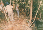 Lawatan Naib Canselor UUM ke Hutan Sintok