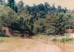 Lawatan Kerja Naib Canselor UUM ke Tapak Pembangunan Kampus Tetap UUM di Hutan Sintok