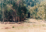 Lawatan Kerja Naib Canselor UUM ke Tapak Pembangunan Kampus Tetap UUM di Hutan Sintok